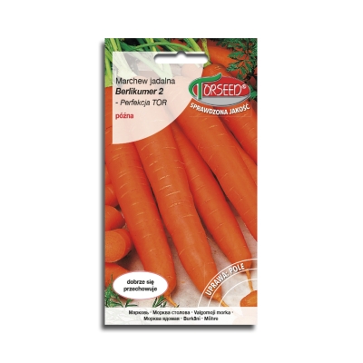 Marchew Berlikumer 2 Perfekcja Nasiona